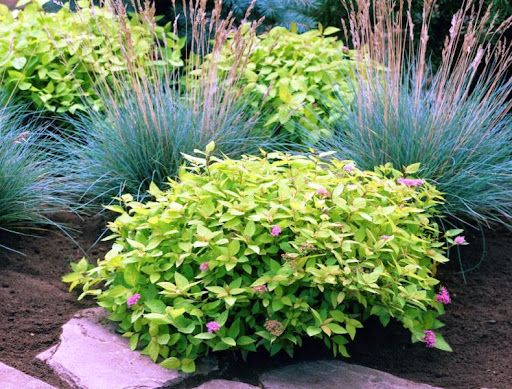 All Photos for Gridiron Green Lawn Care in Murfreesboro, TN