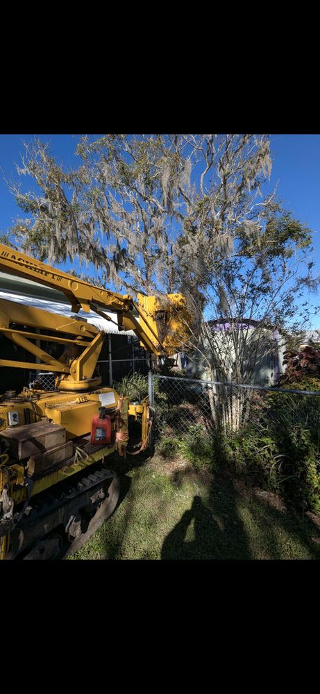 All Photos for Regal Tree Service and Stump Grinding in Wauchula, FL