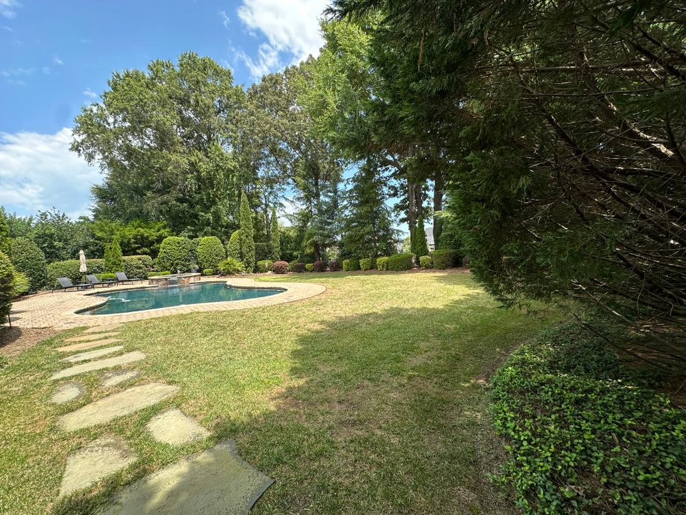 All Photos for Pecina Pine Needles in Monroe, NC