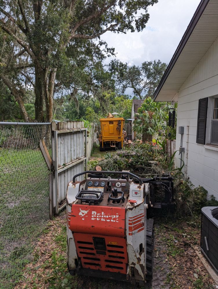 All Photos for Regal Tree Service and Stump Grinding in Wauchula, FL