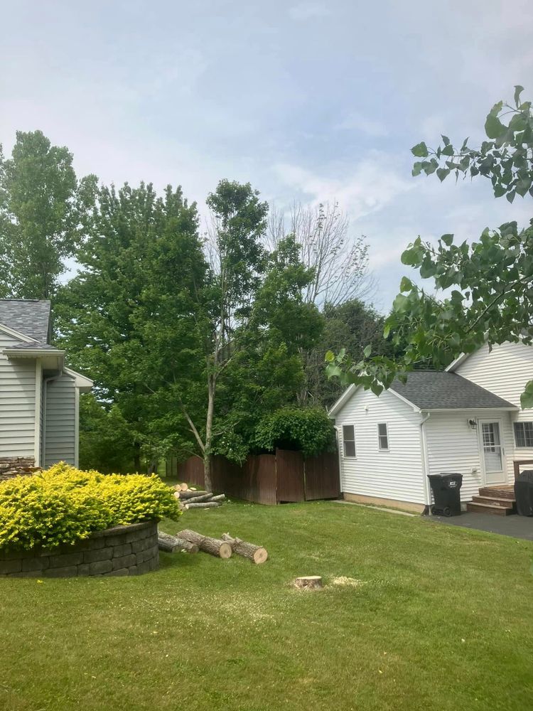 All Photos for Lovenguth Logging and Tree Service in West Monroe, NY