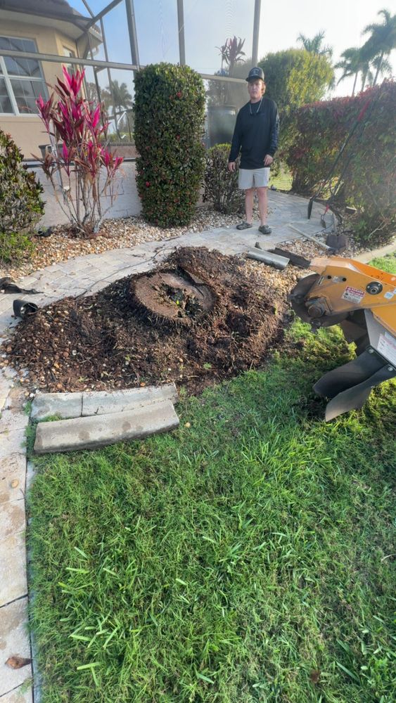 All Photos for Rize N’ Grind  in Punta Gorda, FL