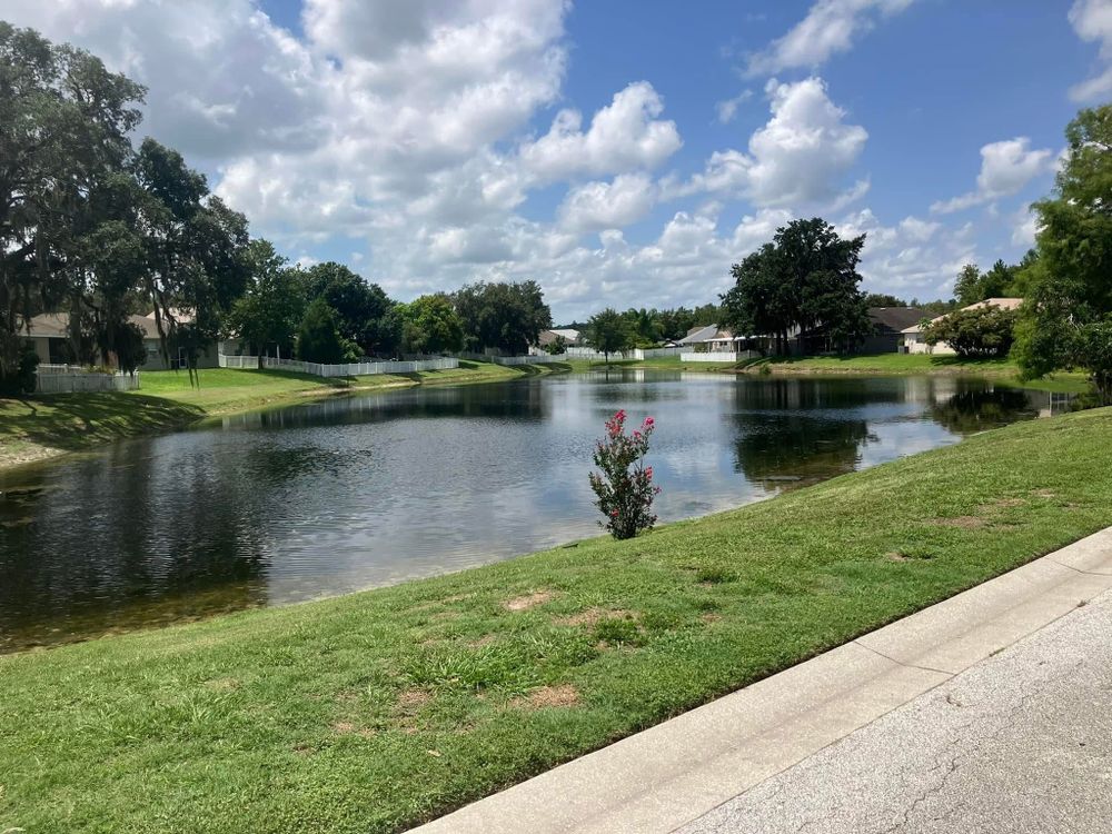 All Photos for Genesis Landscape Services in Spring Hill, FL