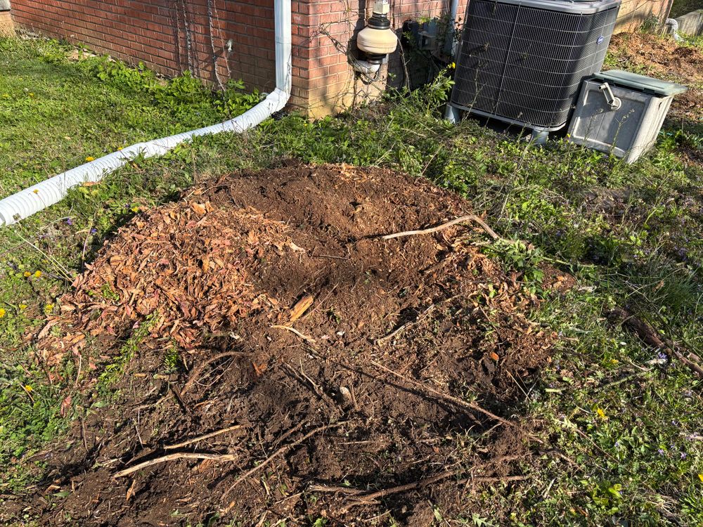 All Photos for Conrad's Stump Removal in Columbus, IN