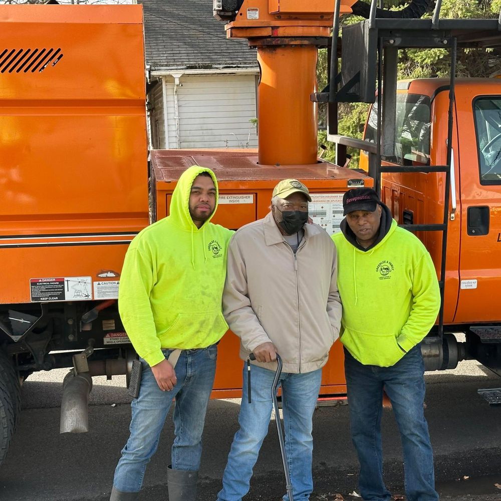 Tree Removal for Greenlee & Family Landscaping Services in Peoria, IL
