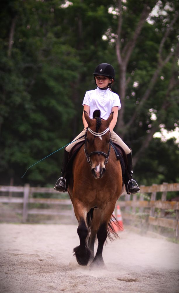 Lessons for Blue Stone Farm in Wantage, NJ