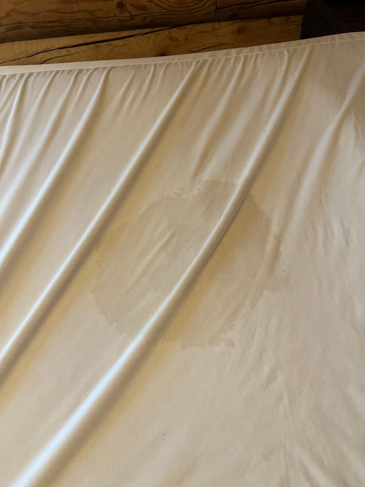 All Photos for A+ Cleaning and Services LLC in Deep Creek Lake, MD 