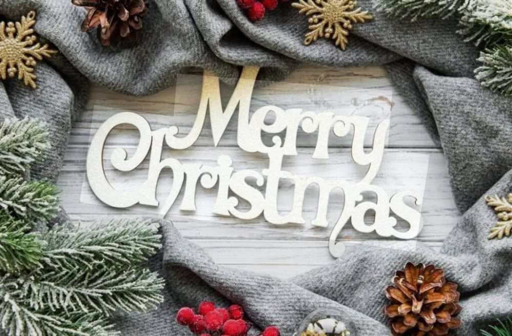 All Photos for Daniel Hickey’s Tree Service in DeLand, FL