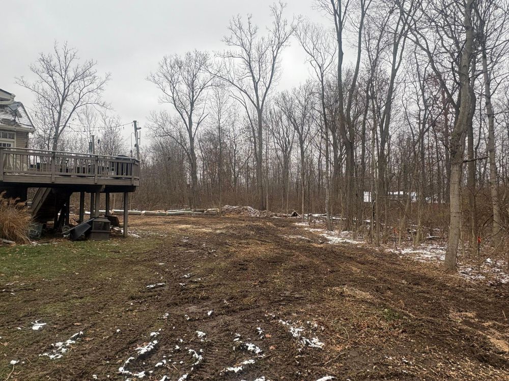 All Photos for Dig-It Tree Company in Mason, OH