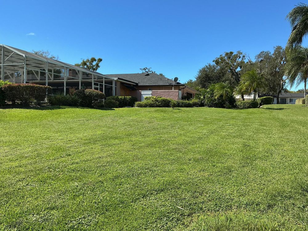 All Photos for Amerigrown Tree And Lawn in Apopka, FL