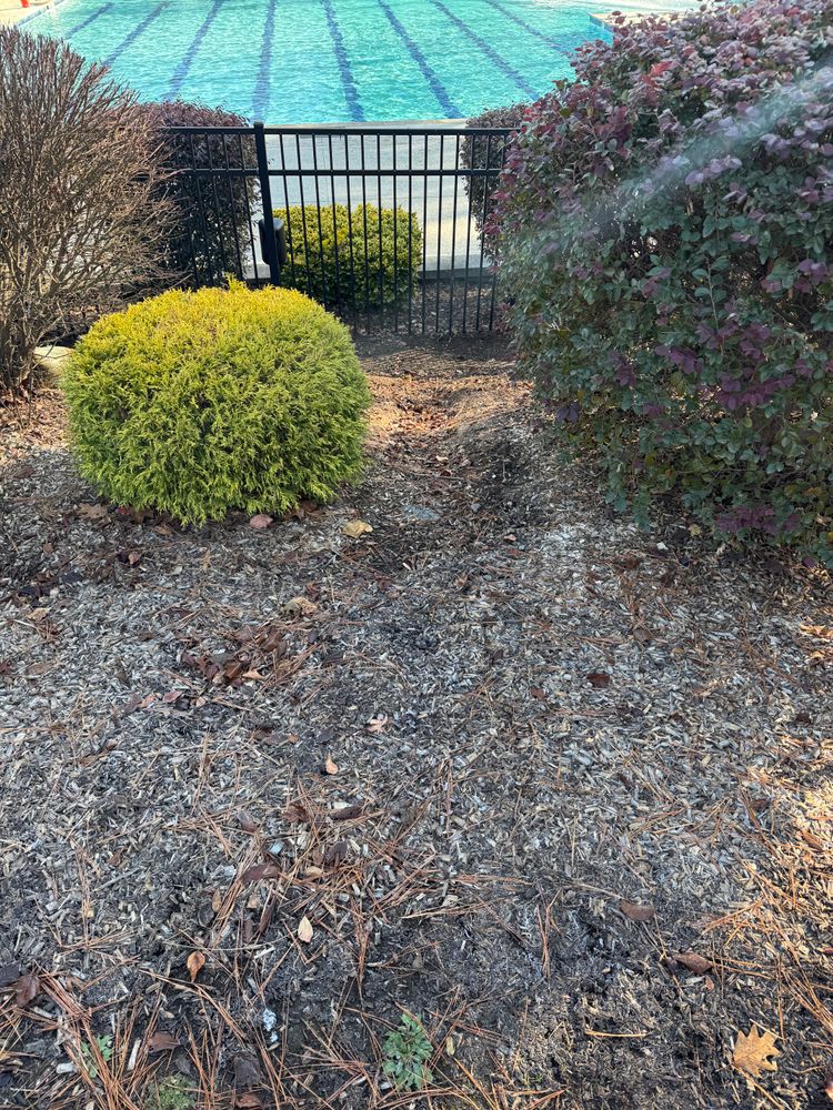 All Photos for Chavez Landscaping in Pittsboro, NC