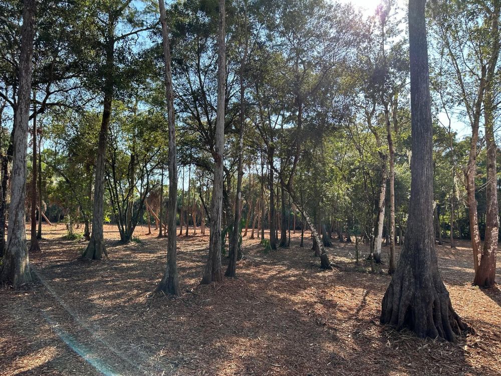 All Photos for McLeran in Naples, FL