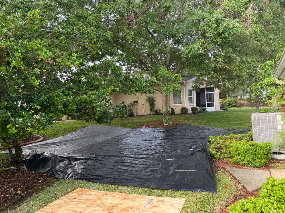 All Photos for Amerigrown Tree And Lawn in Apopka, FL