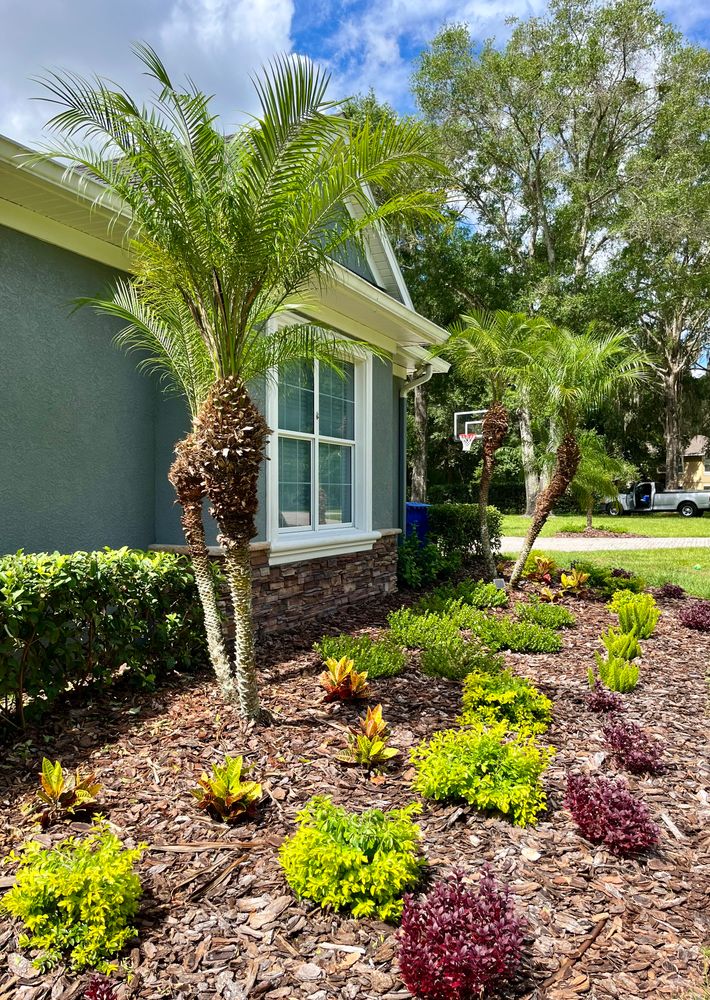 Landscaping in Hillsborough County, FL Verimay's Garden and Landscap
