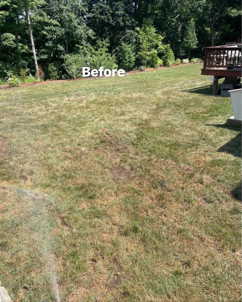 All Photos for F Carias Irrigation Specialist INC in Southborough, MA