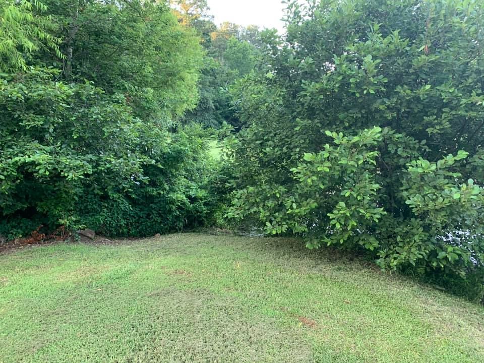 Our Fall Clean Up service ensures your lawn is pristine, removing leaves and debris while preparing your landscape for winter. We enhance curb appeal and promote healthier growth for spring. for ACE Lawn Care of Georgia LLC in Atlanta, GA