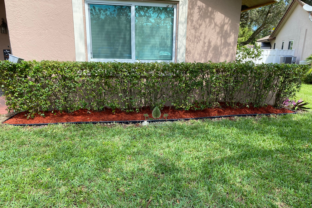 Landscaping for A.C.'s Landscape and Lawn Maintenance in   Coral Springs, FL