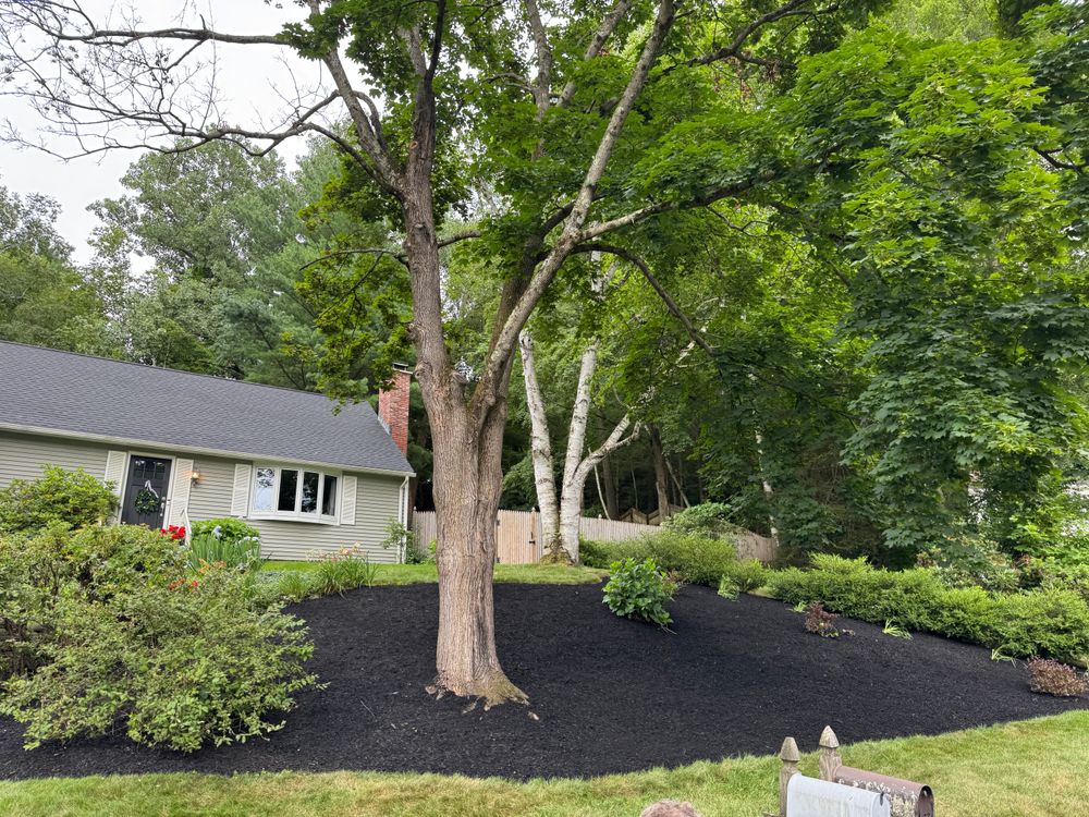 All Photos for Adams Landscaping in Springfield, MA