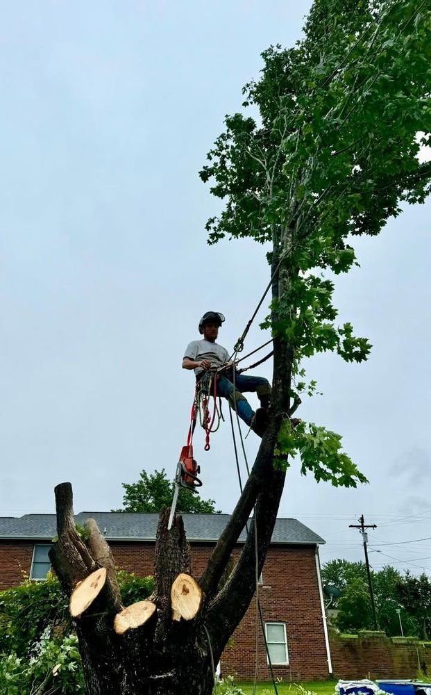 All Photos for Down South Tree Care and Landscaping in Maiden, NC