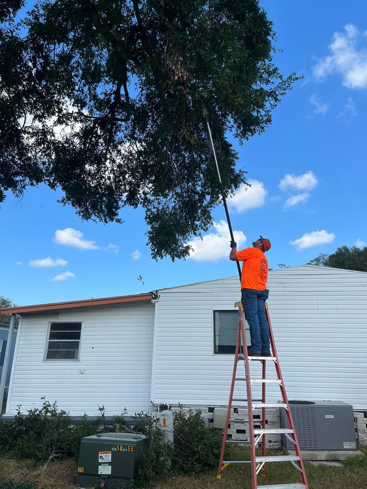 All Photos for Bills Tree Service in Valrico, FL