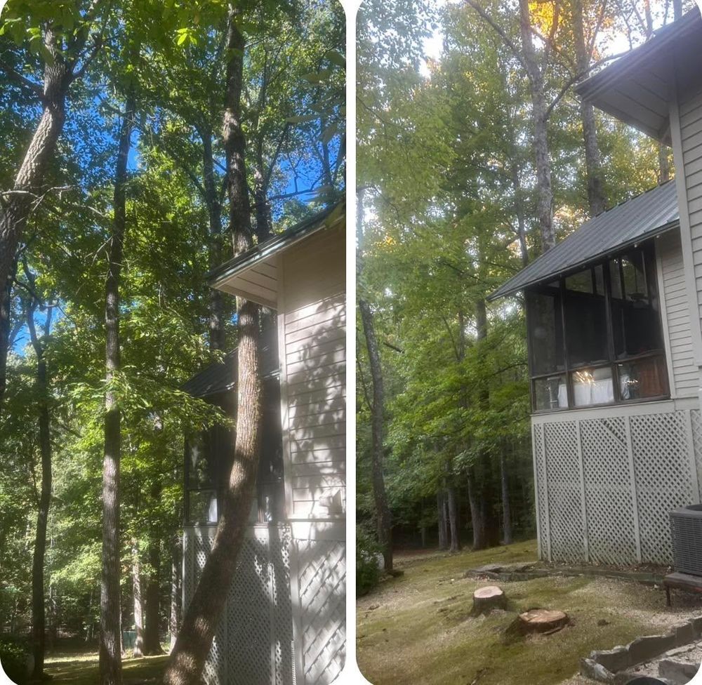 All Photos for McBee’s Tree Service in Sewanee, TN