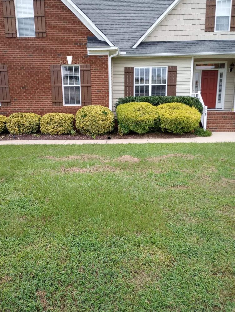Landscaping for Handy Al's Landscaping LLC in Greenville, NC