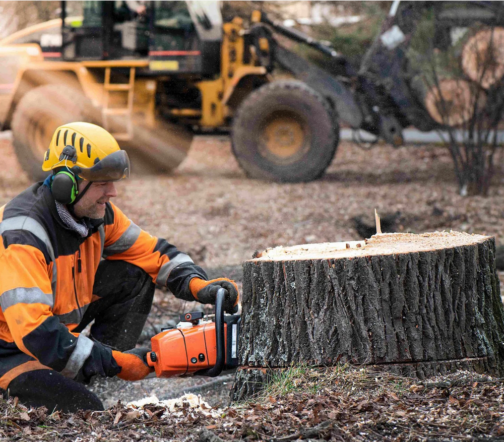 All Photos for Busy Beaver Stump Removal, Inc in Clearwater, FL