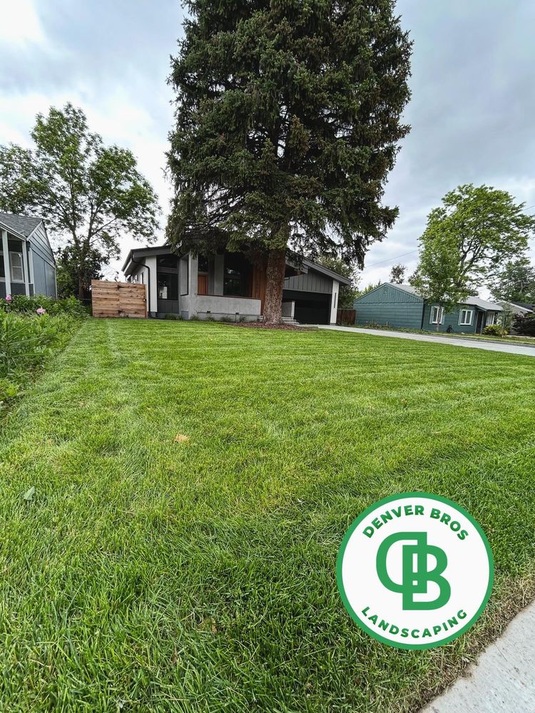 Lawn Care for Denver Bros Lawn Control in Denver, CO
