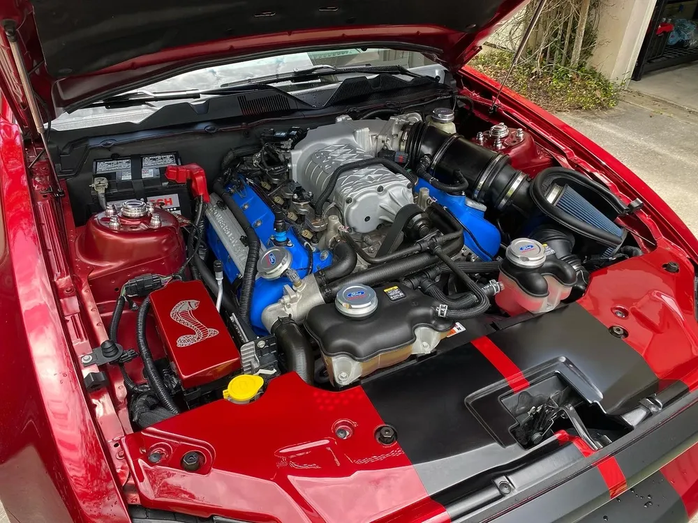 Engine Bay Detail for PalmettoRevive Mobile Detailing in Charleston, SC