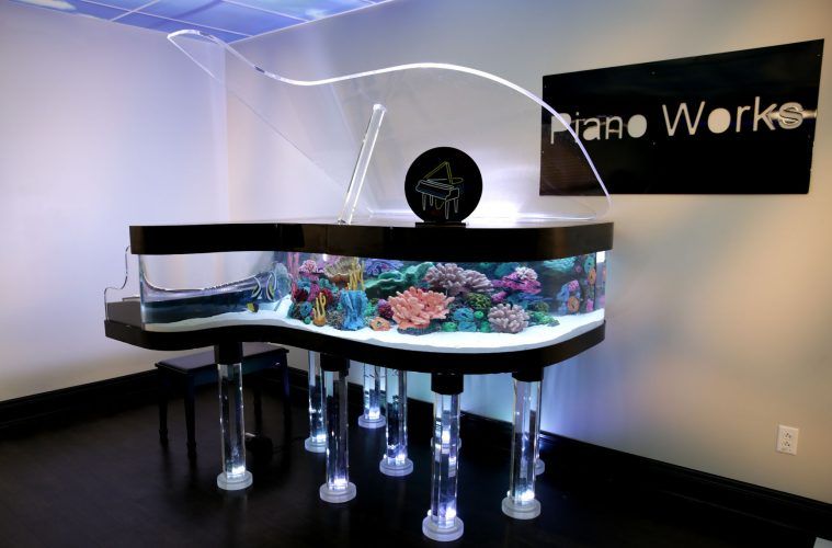 Our Custom Tank Design service allows you to work with our expert plumbers to create a personalized aquarium tank that meets your specific needs and fits seamlessly into your home's design. for Godsey Fish Emporium in , 