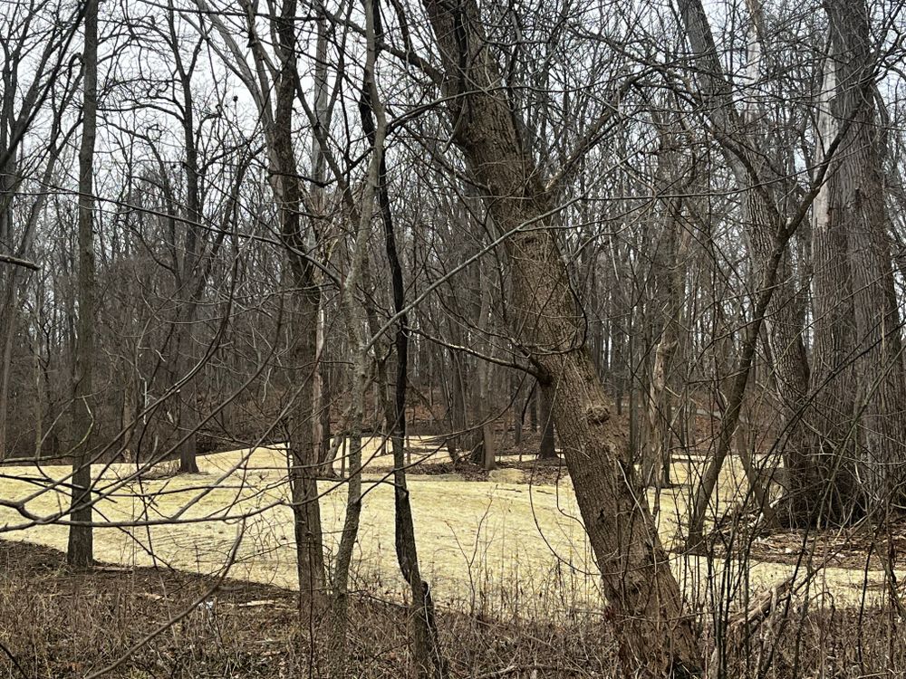 All Photos for Stafford.Works in Brownsburg, IN