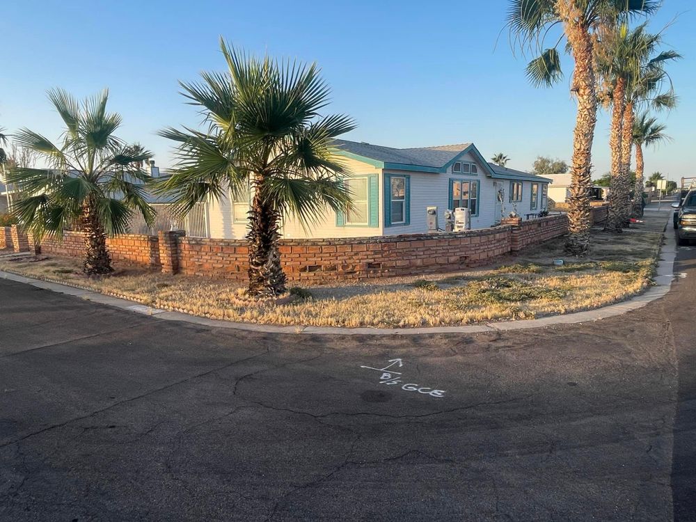 All Photos for Oliver L. Palm & Tree services in Yuma County, AZ