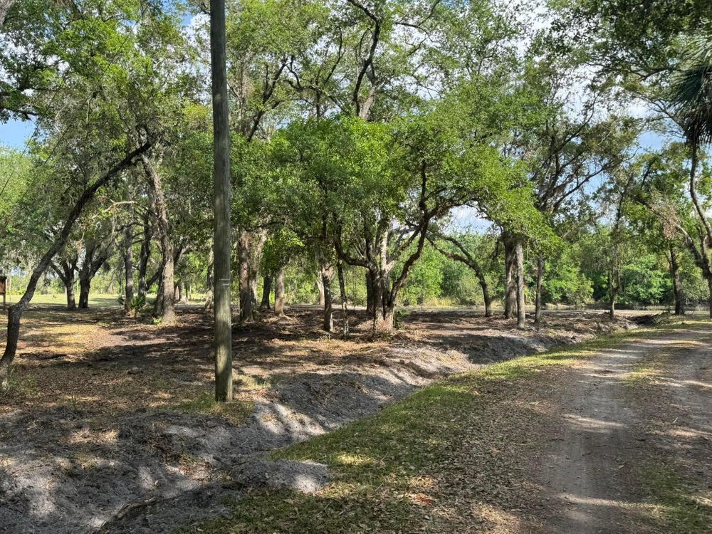 All Photos for Heverly Land Solutions in Winter Haven, FL