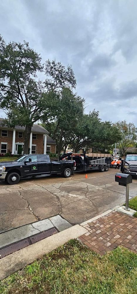 All Photos for Servin's Tree Care  in Houston, TX