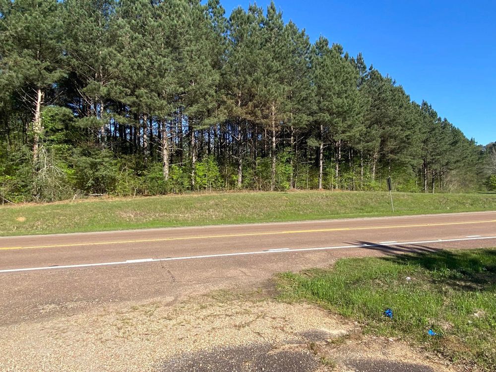 Land Clearing for South Mississippi Land Management LLC in Columbia, Mississippi