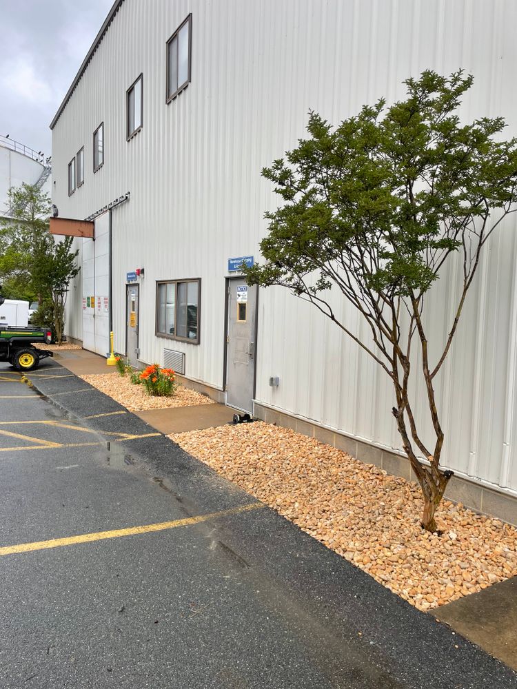 Landscaping for Chiles Lawn & Landscaping in Gordonsville, VA