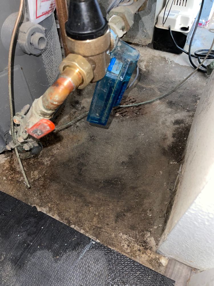 All Photos for Mr. Pipe Dreams LLC in Colorado Springs, CO