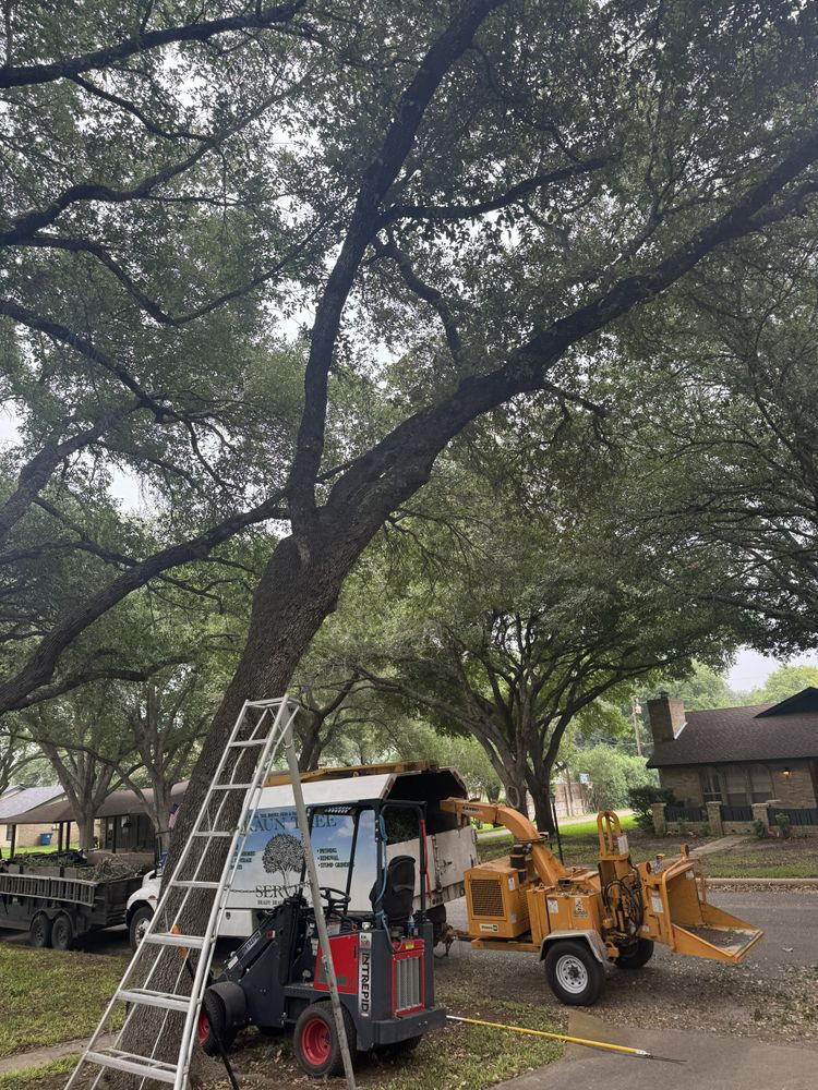 All Photos for Braun Tree Service in Floresville, Texas