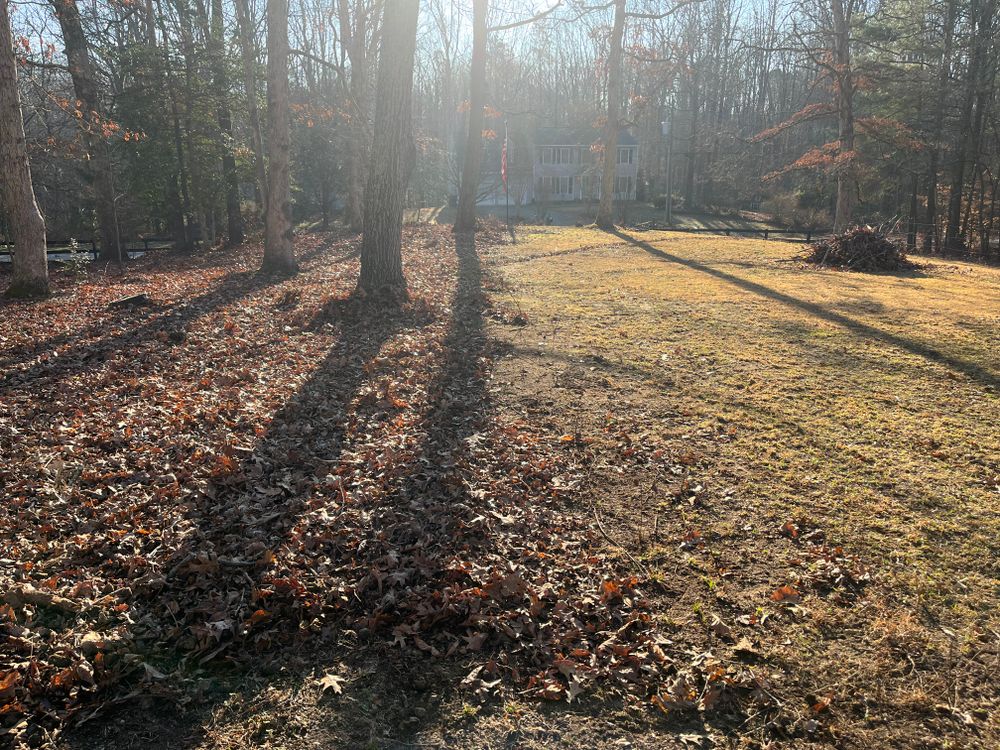 All Photos for Atlas Home Services in Mechanicsville, VA