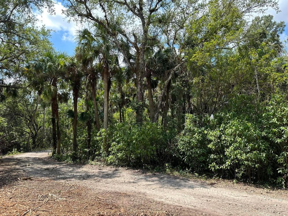 All Photos for McLeran in Naples, FL