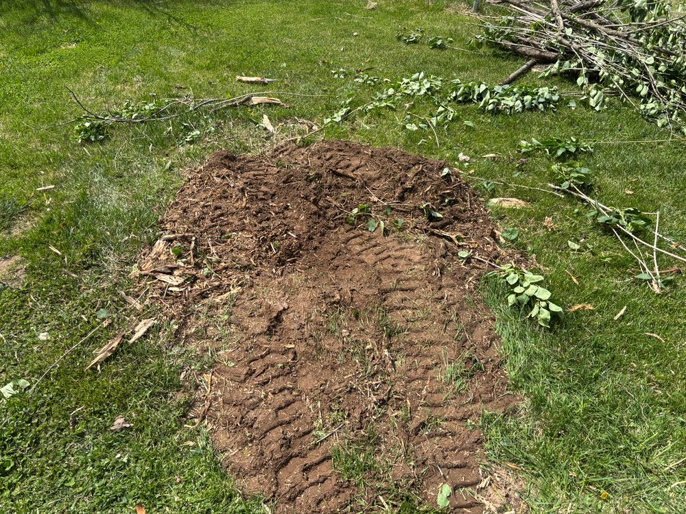 All Photos for Conrad's Stump Removal in Columbus, IN