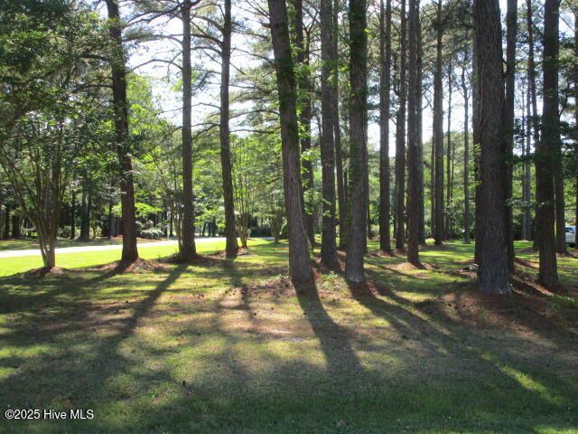 Croatan Lot 1 for Stellar Properties North Carolina in Hertford, NC