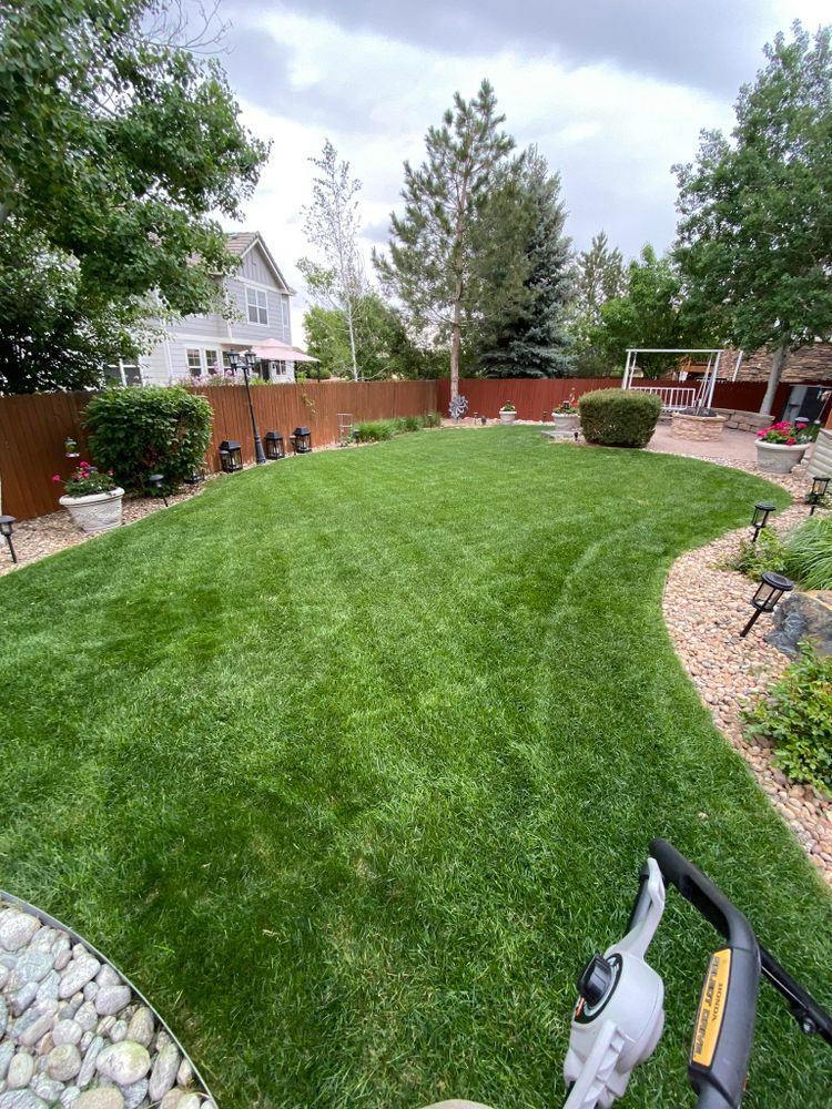 All Photos for Top Notch Lawn Care in Lakewood, CO