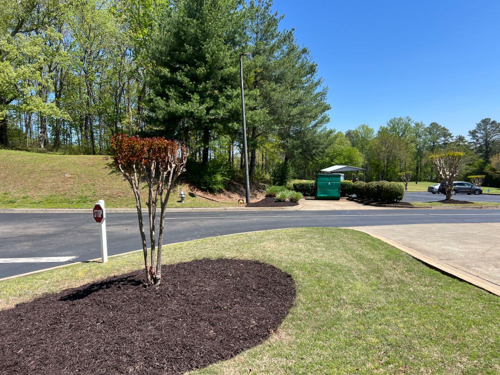 All Photos for Amerigreen Lawn & Landscape in Duluth, GA