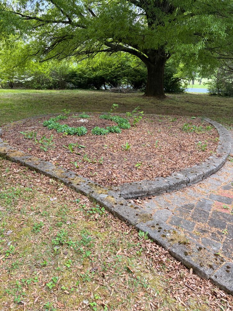 All Photos for Valencia’s Lawncare in Charlottesville, VA