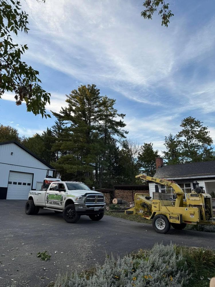All Photos for Sterlings Tree Removal in Cobleskill, New York