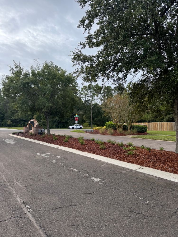 All Photos for Pro Designs Landscaping in Jacksonville, FL