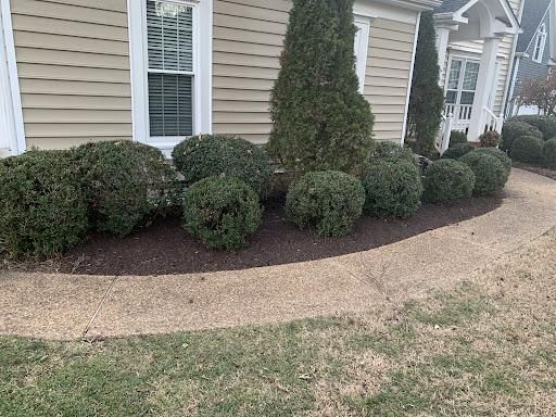 All Photos for Atlas Home Services in Mechanicsville, VA