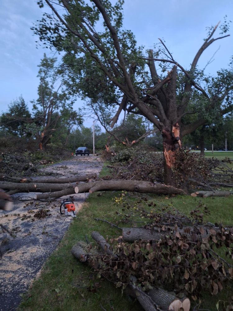 Emergency Storm Work for Highborn Tree Service in Wheatfield, IN