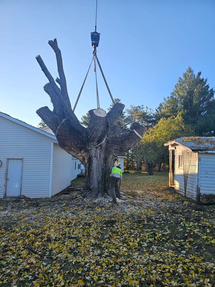 All Photos for Down To Earth Tree Service in Red Wing,  Minnesota